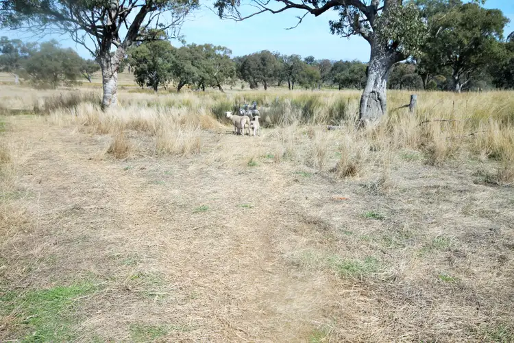 Second view of Homely land listing, LOT 132 Hall Road, Merriwa NSW 2329