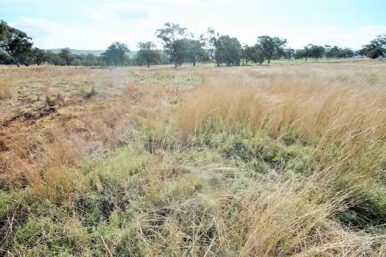 Third view of Homely land listing, LOT 132 Hall Road, Merriwa NSW 2329