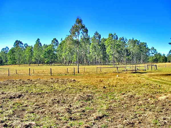 Main view of Homely land listing, 5120 Summerland Way, Whiporie NSW 2469