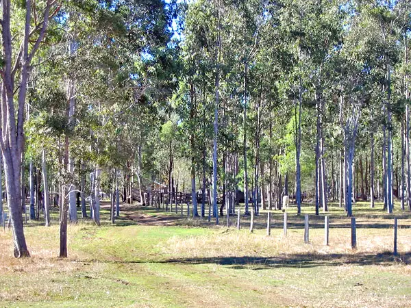 Second view of Homely land listing, 5120 Summerland Way, Whiporie NSW 2469