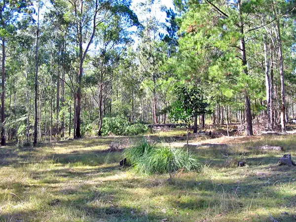 Third view of Homely land listing, 5120 Summerland Way, Whiporie NSW 2469