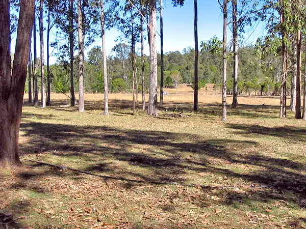 Fourth view of Homely land listing, 5120 Summerland Way, Whiporie NSW 2469