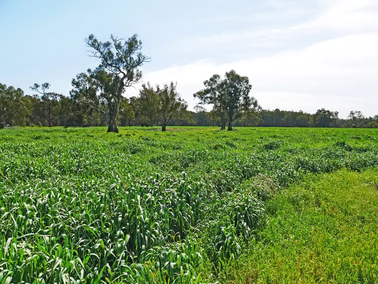 Third view of Homely land listing, LOT 1, 9642 Sturt Highway, Narrandera NSW 2700