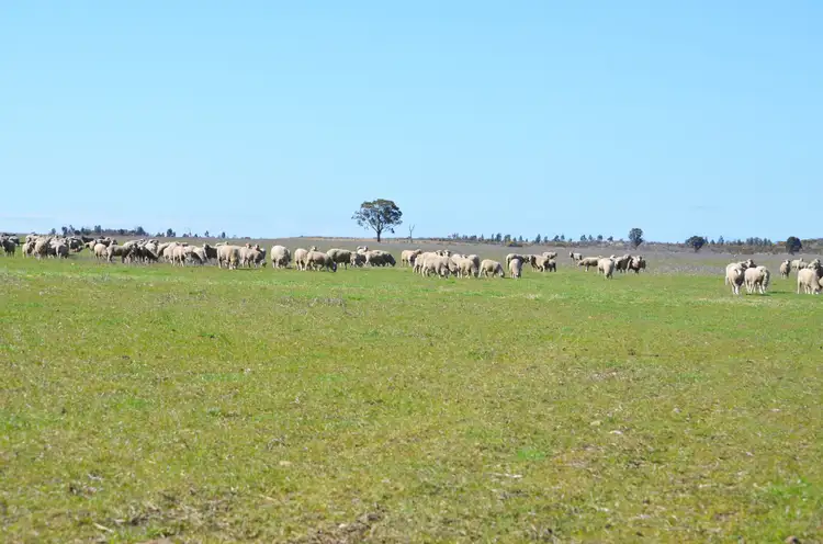 Main view of Homely rural property listing, 0 Valley View Road, Morrl Morrl VIC 3387