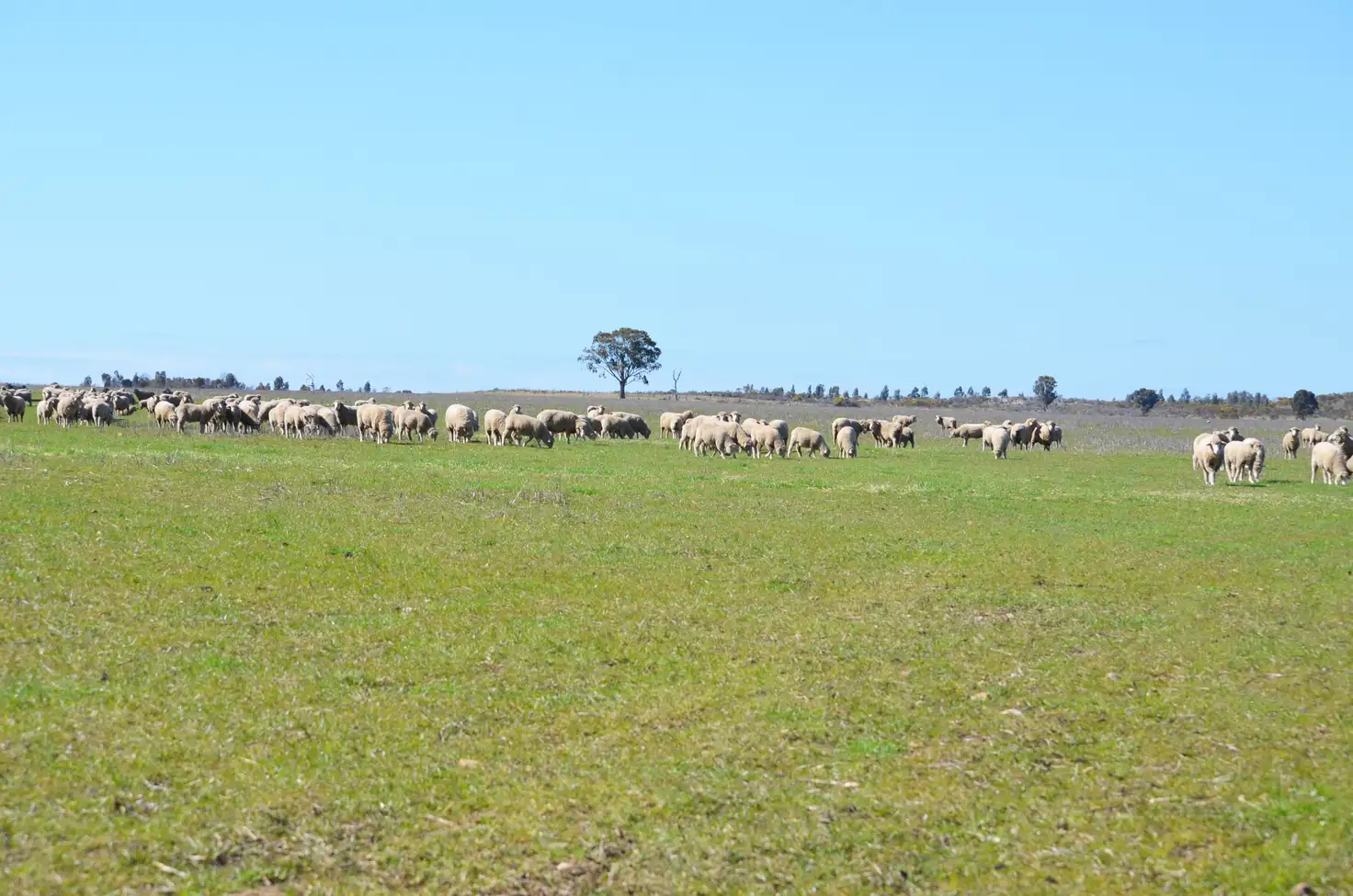 Main view of Homely rural property listing, 0 Valley View Road, Morrl Morrl VIC 3387