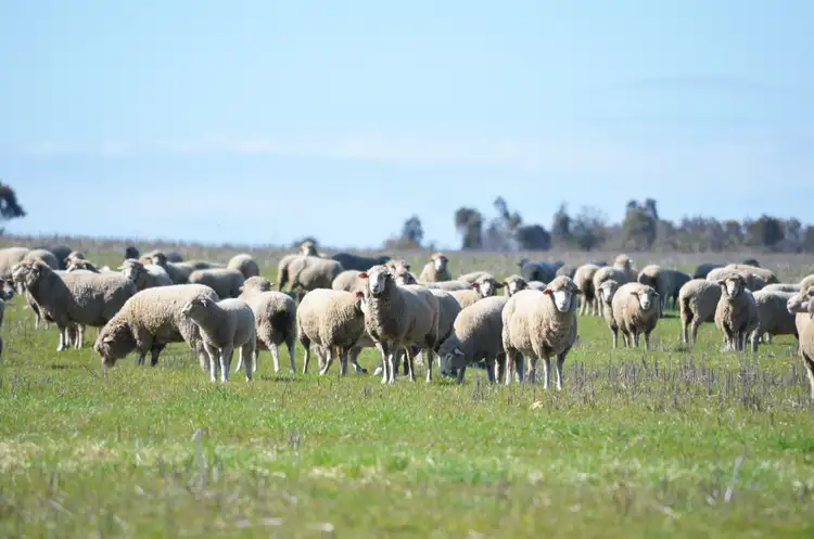 Second view of Homely rural property listing, 0 Valley View Road, Morrl Morrl VIC 3387