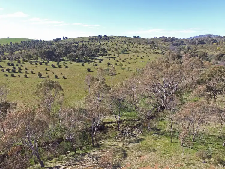 Main view of Homely rural property listing, LOT 1 Barry Lane, Tooborac VIC 3522