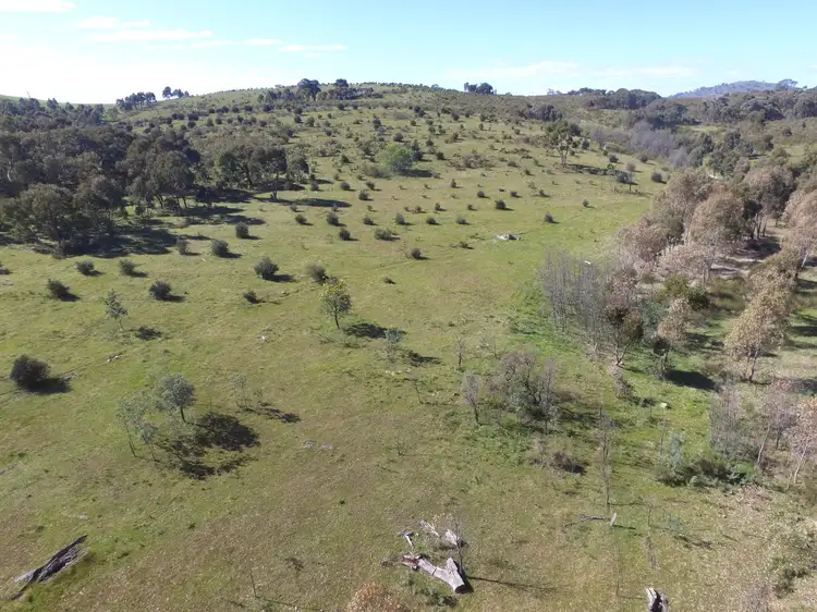 Fifth view of Homely rural property listing, LOT 1 Barry Lane, Tooborac VIC 3522