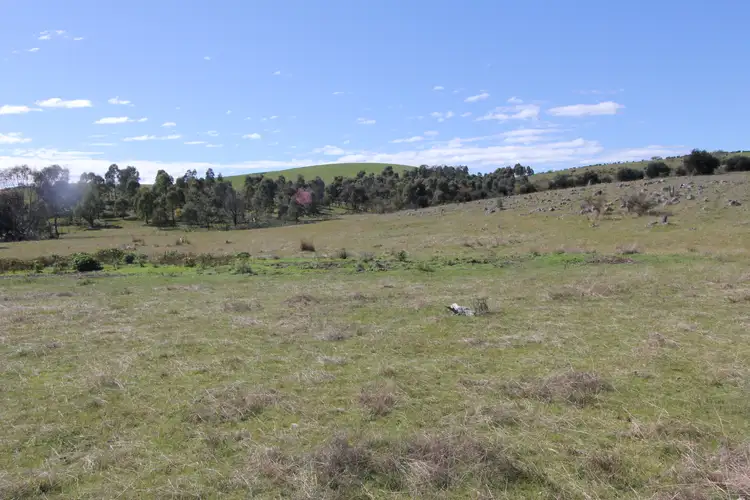 Sixth view of Homely rural property listing, LOT 1 Barry Lane, Tooborac VIC 3522