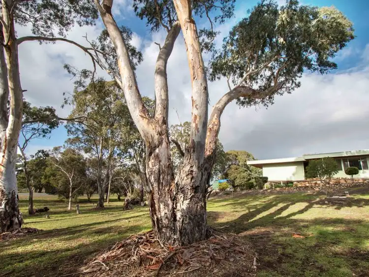 Sixth view of Homely house listing, 13 Bowman Street, Meningie SA 5264