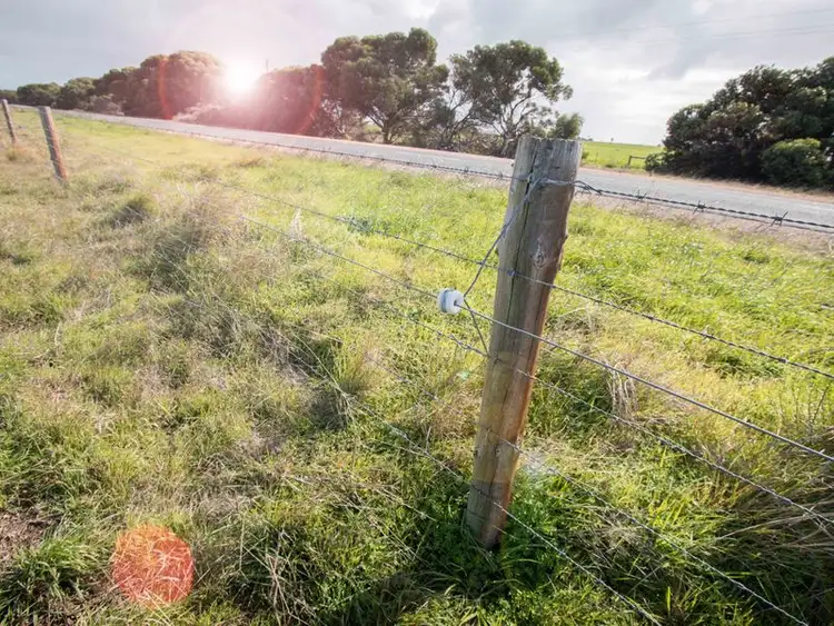 Fifth view of Homely rural property listing, 2446 Narrung Road, Narrung SA 5259