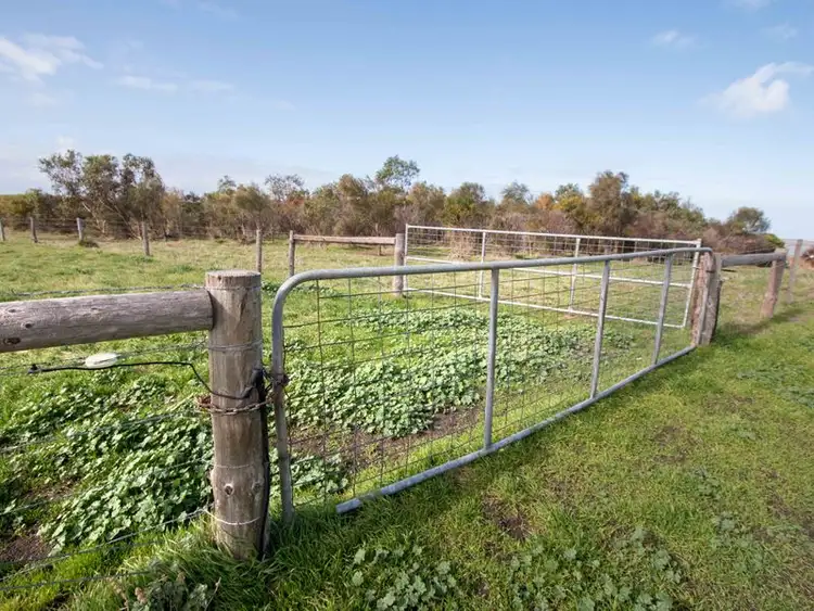 Seventh view of Homely rural property listing, 2446 Narrung Road, Narrung SA 5259