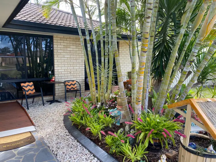 Third view of Homely house listing, 29 Archer Drive, Point Vernon QLD 4655