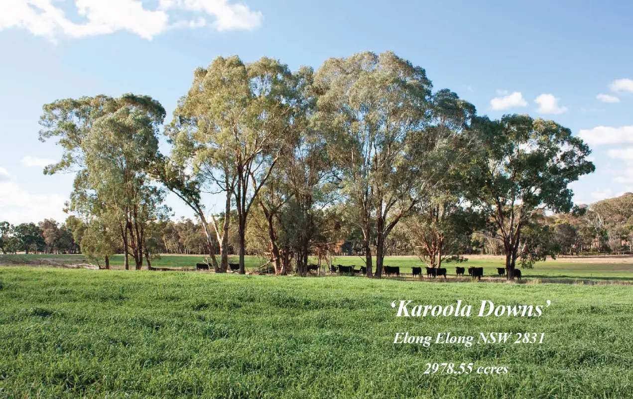 Main view of Homely rural property listing, Address available on request
