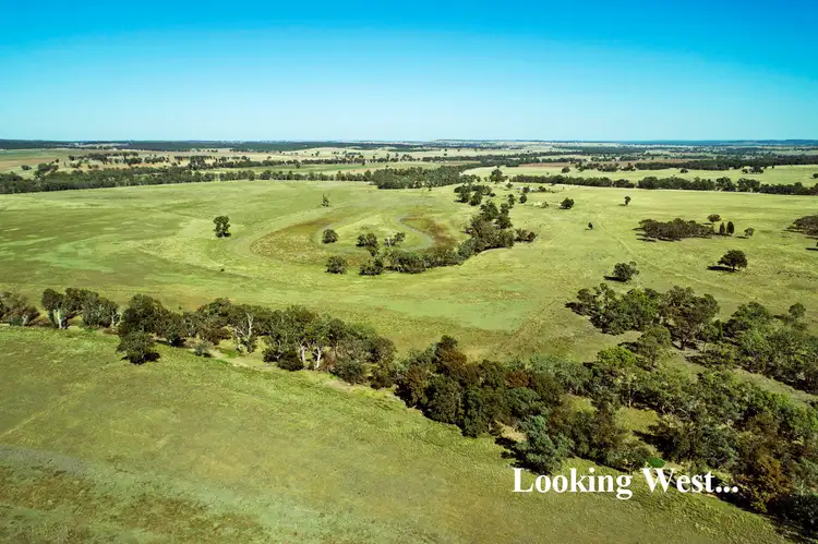 Seventh view of Homely rural property listing, Address available on request