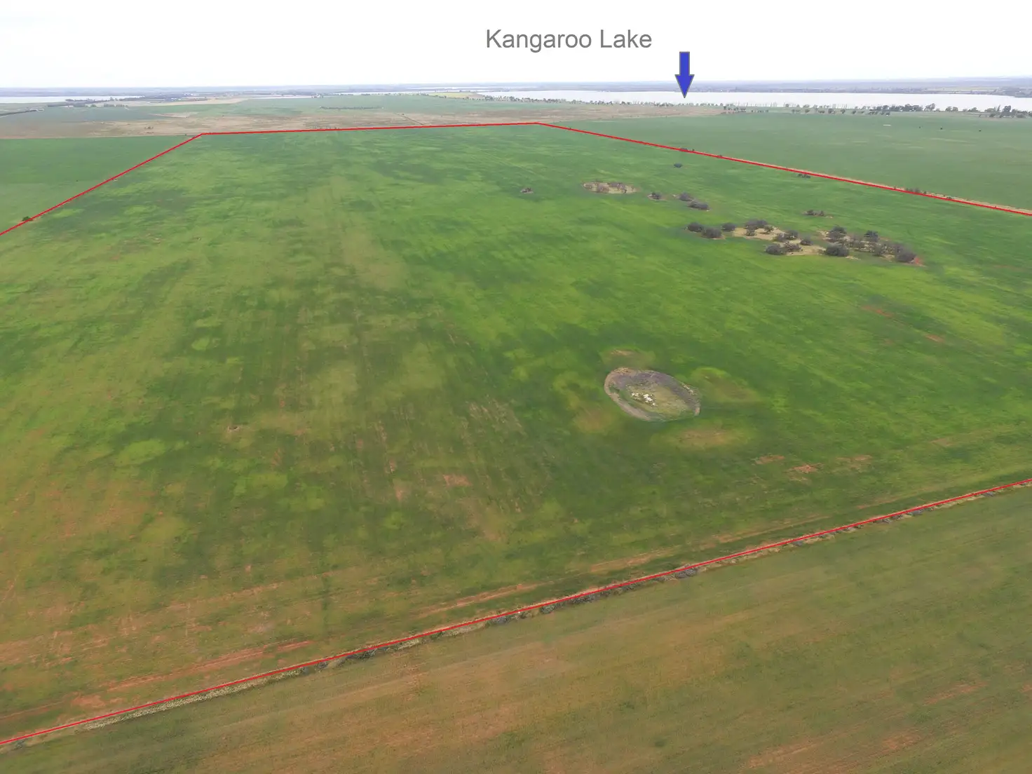 Main view of Homely rural property listing, Bristowe Road, Lake Charm VIC 3581