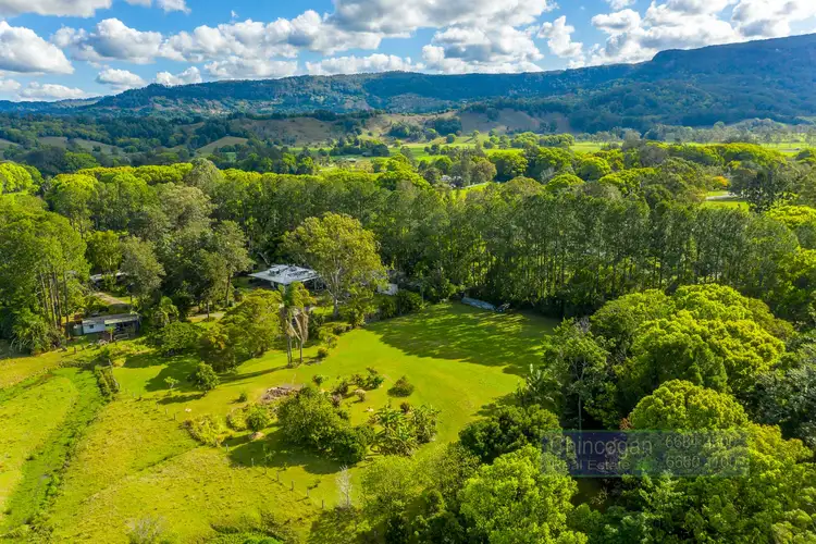 Fifth view of Homely rural property listing, 354 Main Arm Road, Mullumbimby NSW 2482