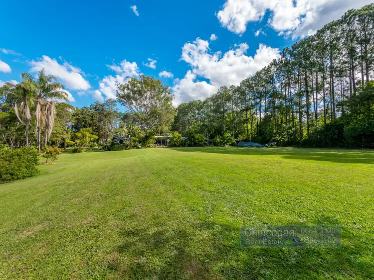 Seventh view of Homely rural property listing, 354 Main Arm Road, Mullumbimby NSW 2482