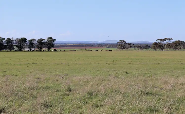 Fifth view of Homely rural property listing, 110 VOLUM ROAD, Gnarwarre VIC 3221