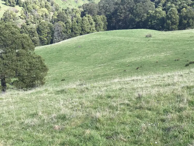 Fifth view of Homely rural property listing, 191 Allman Road, Trida VIC 3953