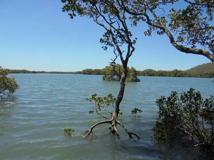 Seventh view of Homely land listing, 15 Keats Street, Russell Island QLD 4184