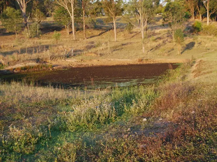 Sixth view of Homely land listing, 886 Mungar Road, Grahams Creek QLD 4650