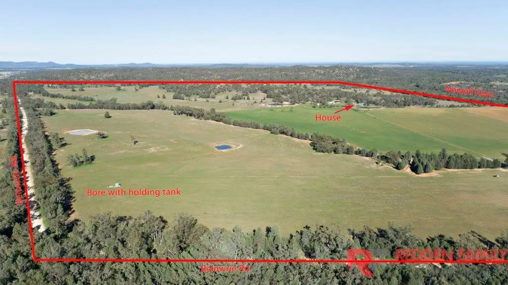 Main view of Homely rural property listing, "Wyoming", 8506 Newell Highway, Dubbo, Dubbo NSW 2830