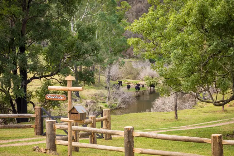 Second view of Homely rural property listing, 2685 Eurobodalla Road, Nerrigundah NSW 2545