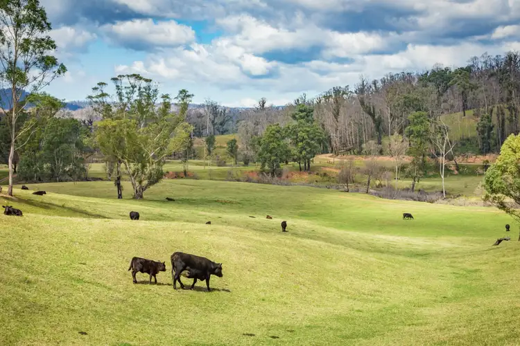 Third view of Homely rural property listing, 2685 Eurobodalla Road, Nerrigundah NSW 2545