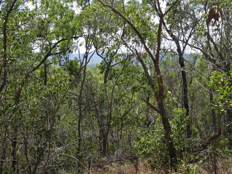 Main view of Homely rural property listing, LOT 4 Clarkes Road, Lowmead QLD 4676