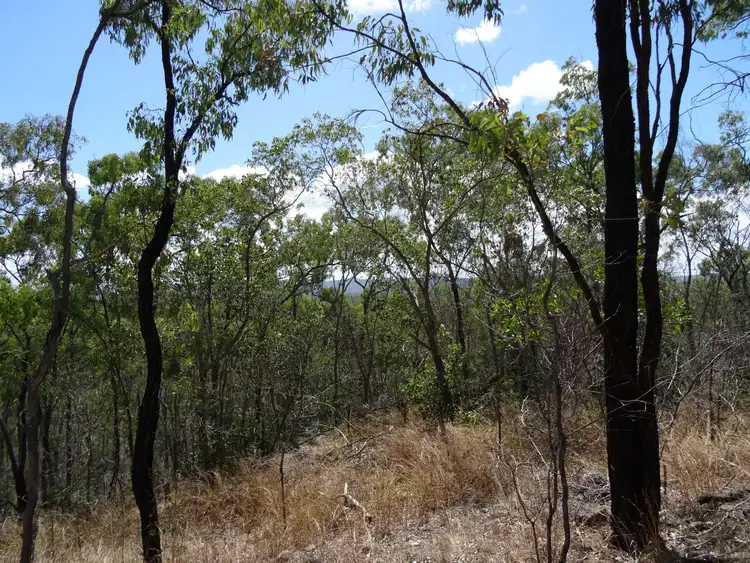 Third view of Homely rural property listing, LOT 4 Clarkes Road, Lowmead QLD 4676