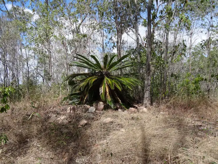 Fifth view of Homely rural property listing, LOT 4 Clarkes Road, Lowmead QLD 4676