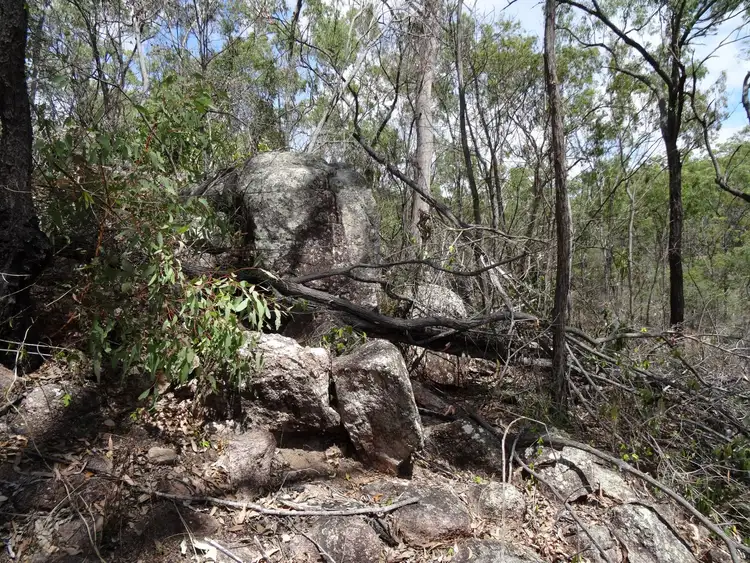 Seventh view of Homely rural property listing, LOT 4 Clarkes Road, Lowmead QLD 4676