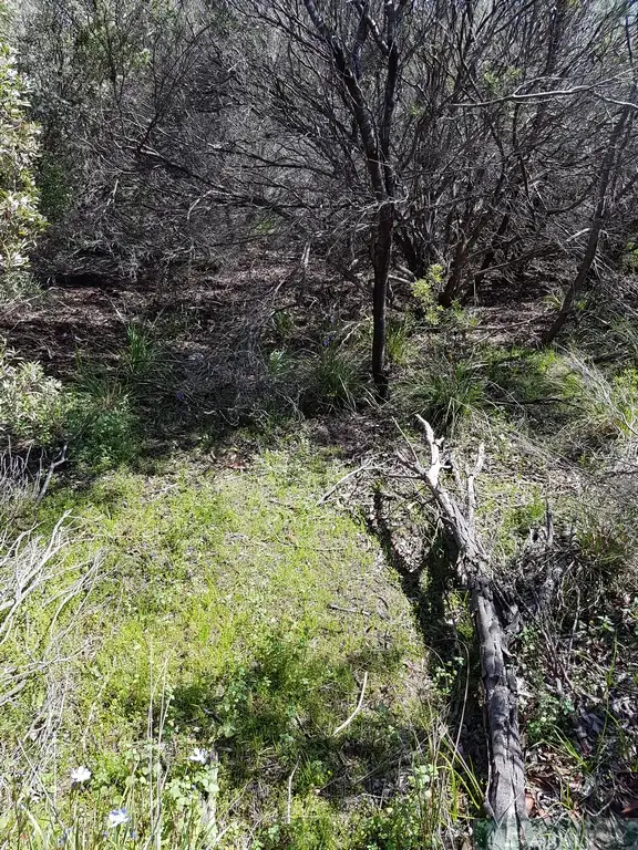 Fourth view of Homely land listing, LOT 75 Second Street, Sapphiretown SA 5222