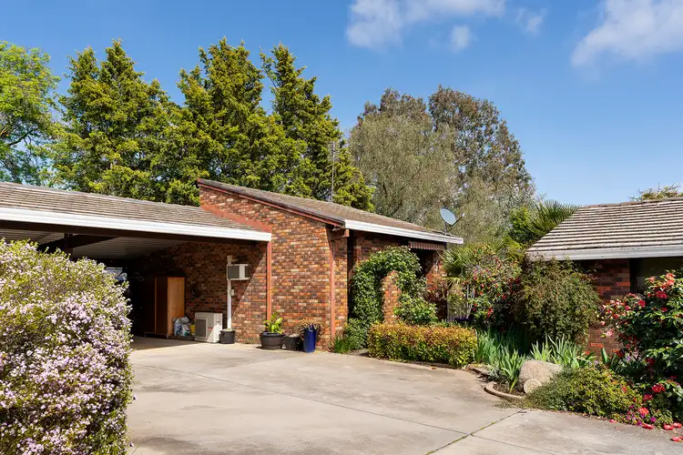 Main view of Homely unit listing, 3/8 Halford Street, Castlemaine VIC 3450