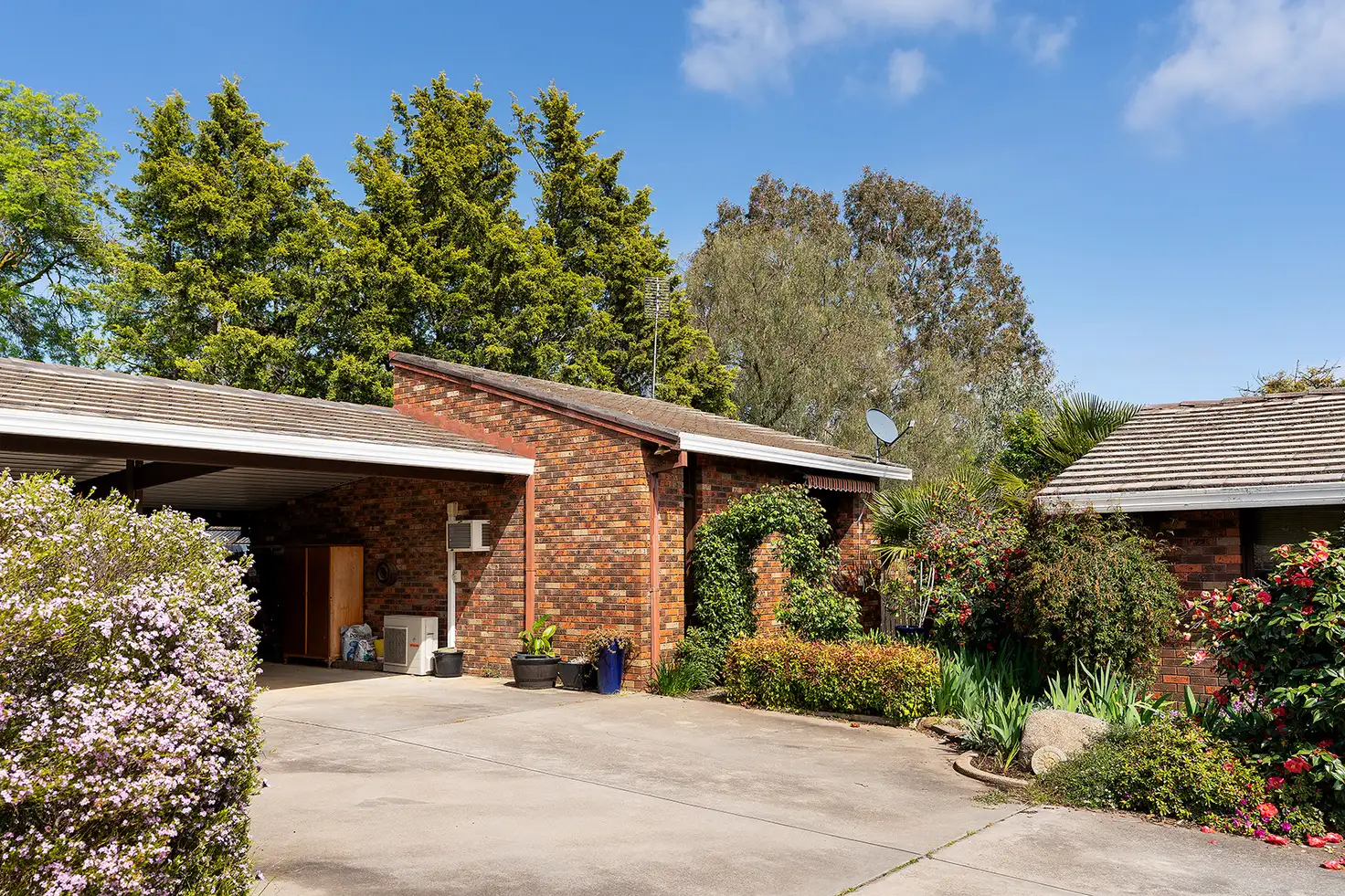 Main view of Homely unit listing, 3/8 Halford Street, Castlemaine VIC 3450