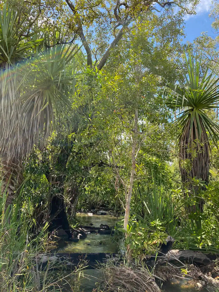 Third view of Homely land listing, 348 Northstar Road, Acacia Hills NT 822