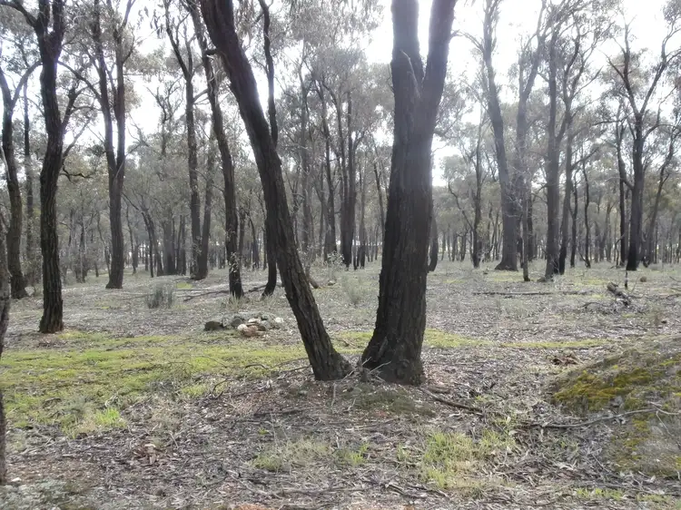Sixth view of Homely land listing, Lot 2 146 Loddon Valley Highway, Sailors Gully VIC 3556