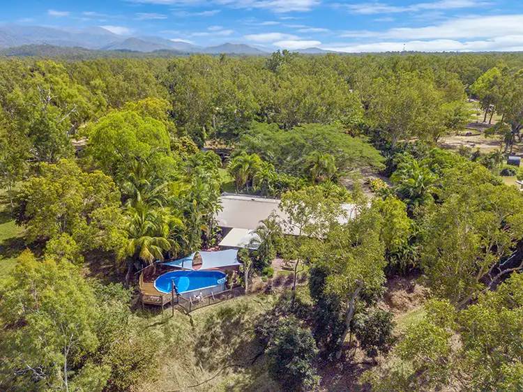 Main view of Homely house listing, 450 Forestry Road, Bluewater QLD 4818