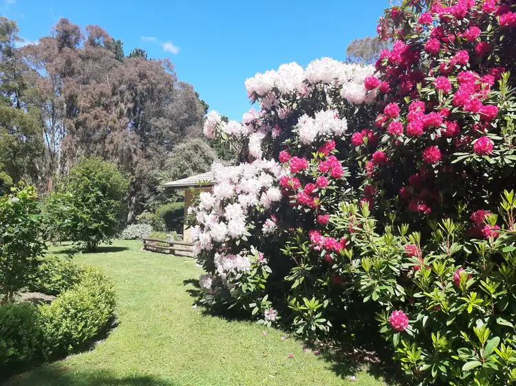 Second view of Homely house listing, 11 Strathclyde Crescent, Woodend VIC 3442