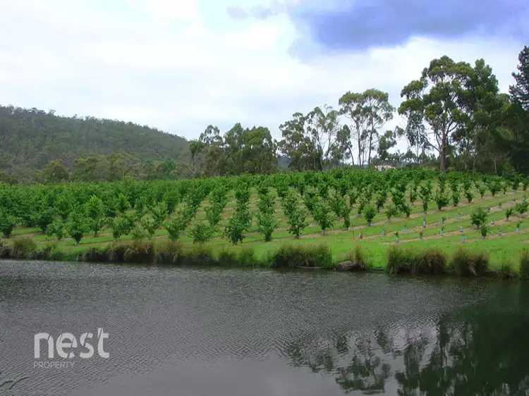 Fourth view of Homely land listing, 92 Saddle Road, Kettering TAS 7155