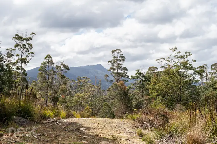 Main view of Homely land listing, 267-431 Patersonia Road, Nunamara TAS 7259
