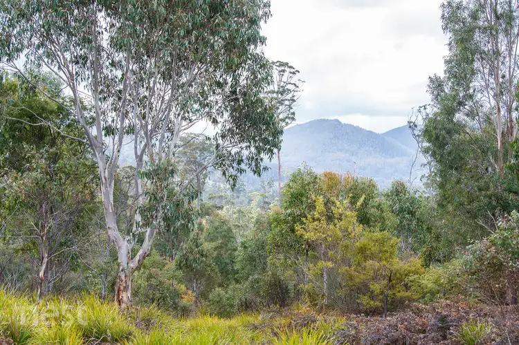 Fifth view of Homely land listing, 267-431 Patersonia Road, Nunamara TAS 7259