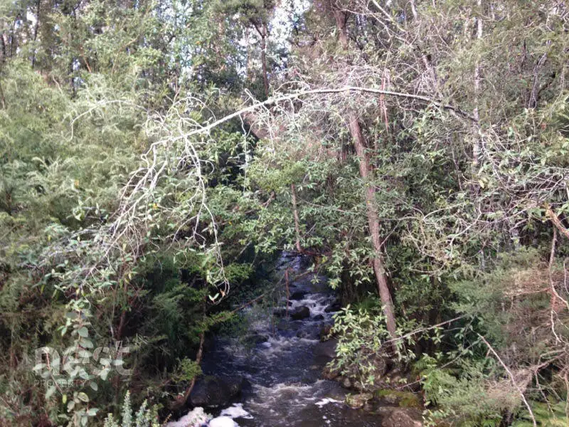 Main view of Homely land listing, Corner Lockleys Road & Fitzgerald Road, Adventure Bay TAS 7150