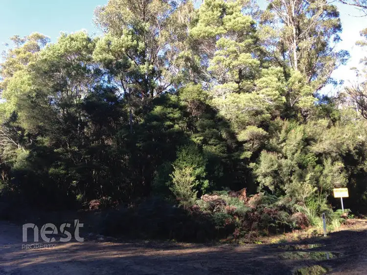 Second view of Homely land listing, Corner Lockleys Road & Fitzgerald Road, Adventure Bay TAS 7150