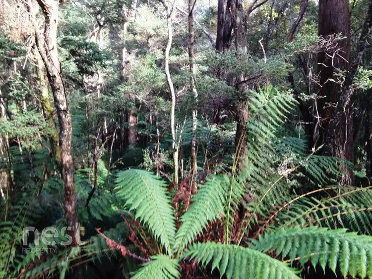 Fifth view of Homely land listing, Corner Lockleys Road & Fitzgerald Road, Adventure Bay TAS 7150