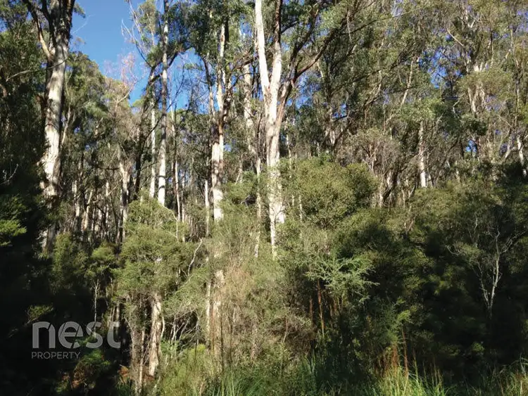 Sixth view of Homely land listing, Corner Lockleys Road & Fitzgerald Road, Adventure Bay TAS 7150