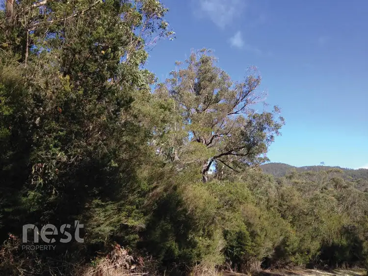 Seventh view of Homely land listing, Corner Lockleys Road & Fitzgerald Road, Adventure Bay TAS 7150