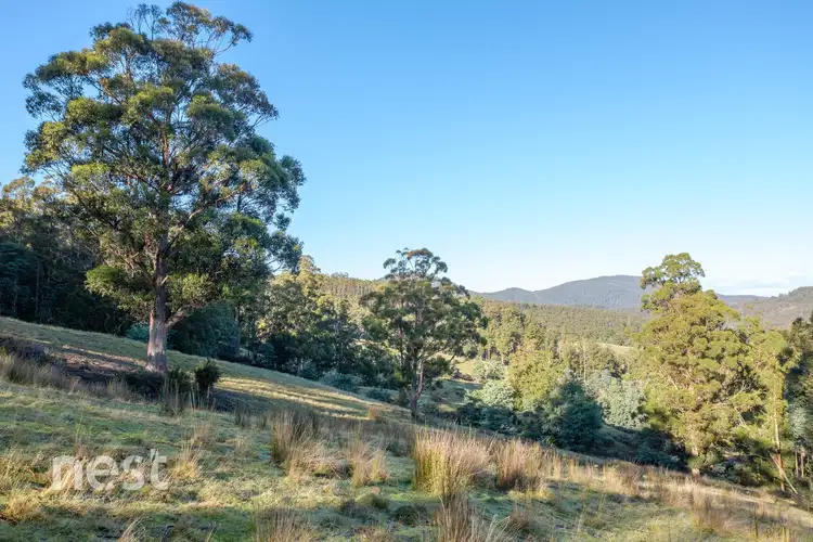 Seventh view of Homely land listing, Lot 1 Nicholls Rivulet Road, Nicholls Rivulet TAS 7112
