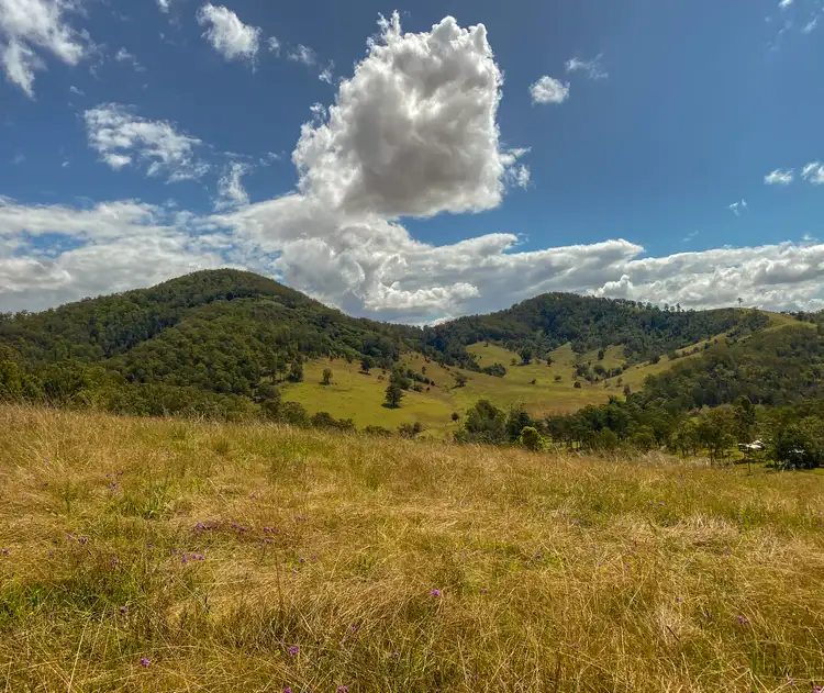 Main view of Homely rural property listing, 2053 Nowendoc Road, Mount George NSW 2424